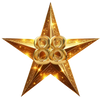 FAV MICROSTAR88